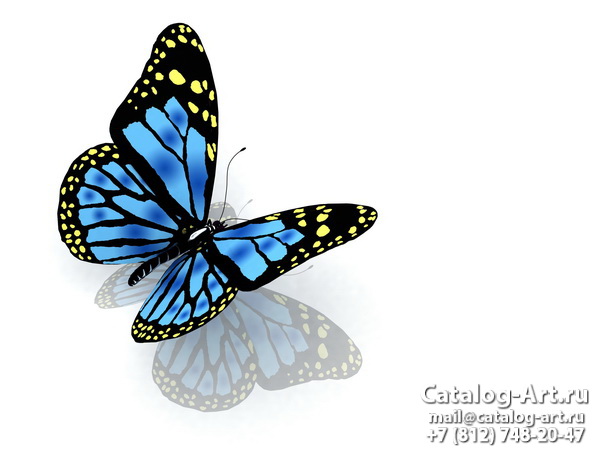  Butterflies 28
